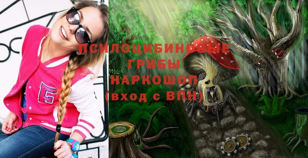 амф Арсеньев