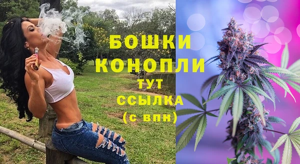 амф Арсеньев