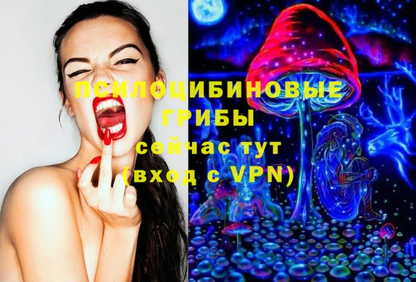 прущая мука Армянск